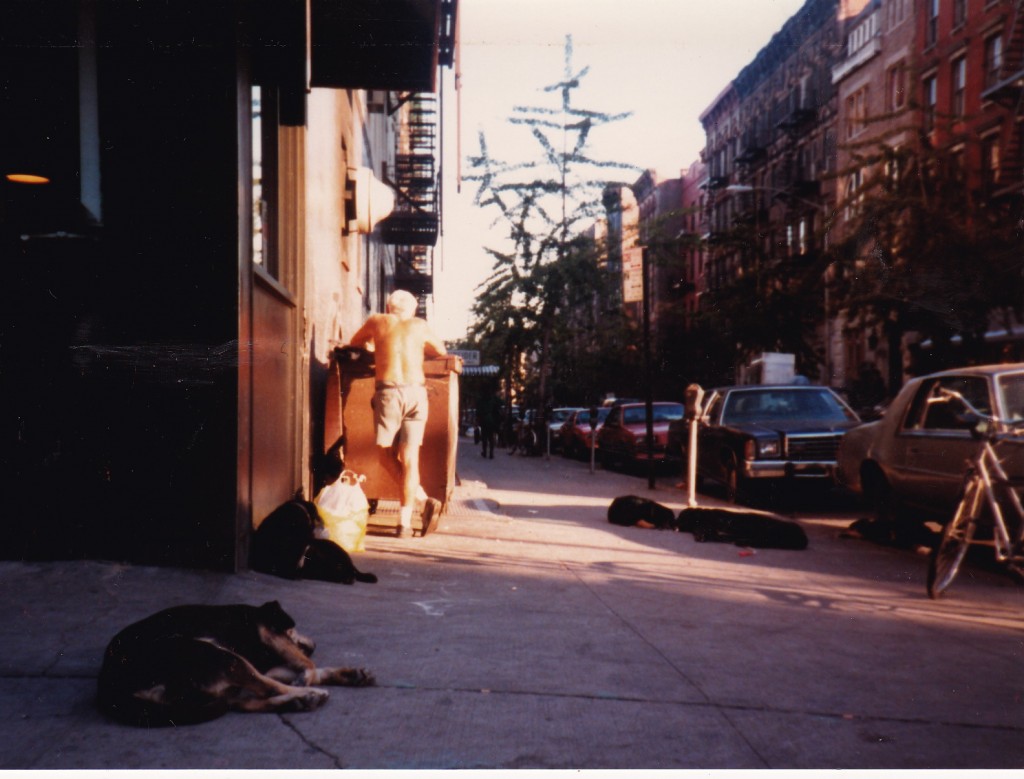LAZY DAYS...stray dogs lie around in East Village street in 1986
