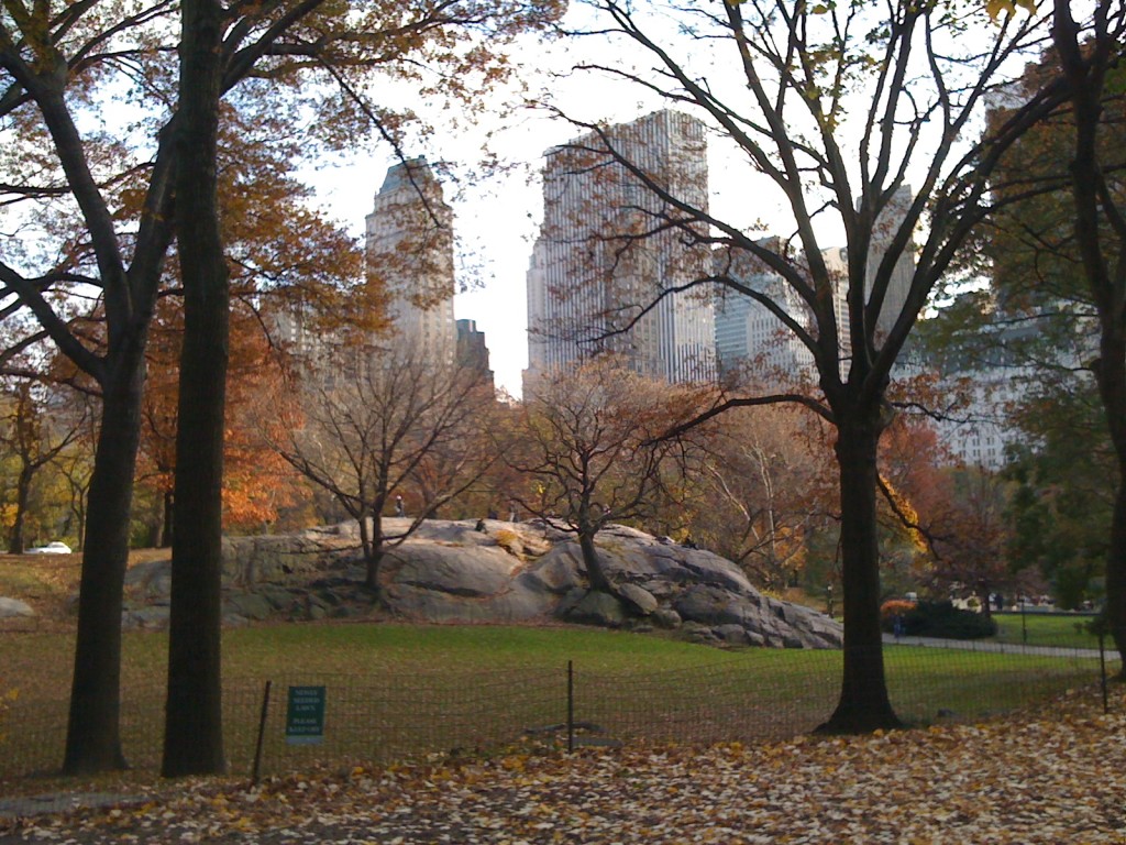 PEACEFUL...Central Park is an escape for Jonathan