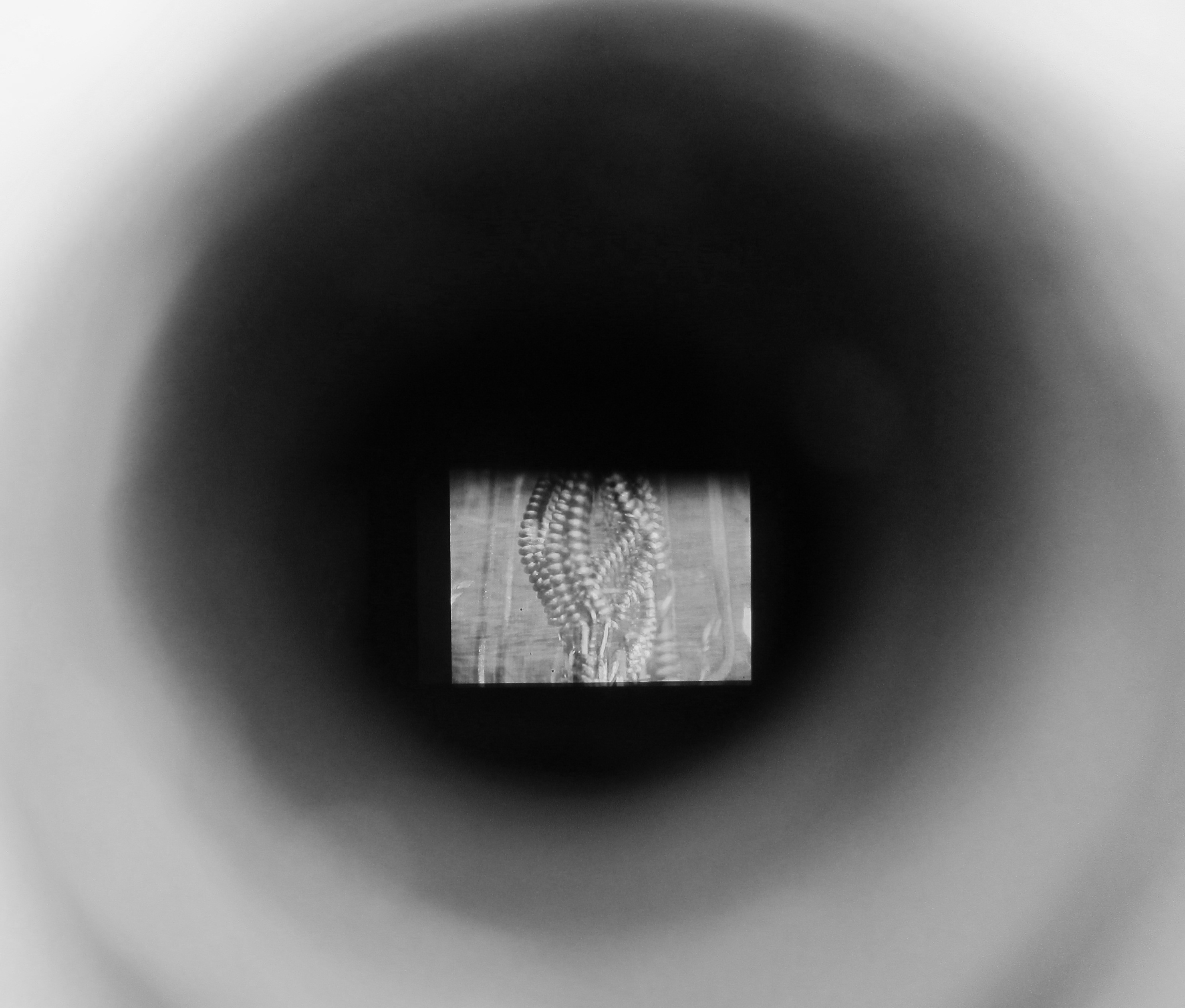 VINTAGE FIND...a film as viewed through the peephole. Pic: Francis Kohler